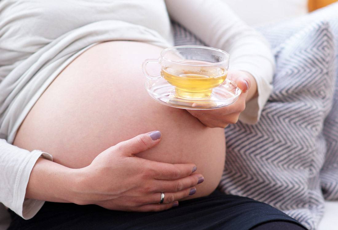 Можно ли пить зелёный чай при беременности и как это делать правильно?