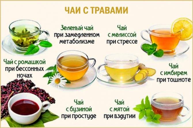 Напитки для похудения и очищения: 12 чаев для похудения