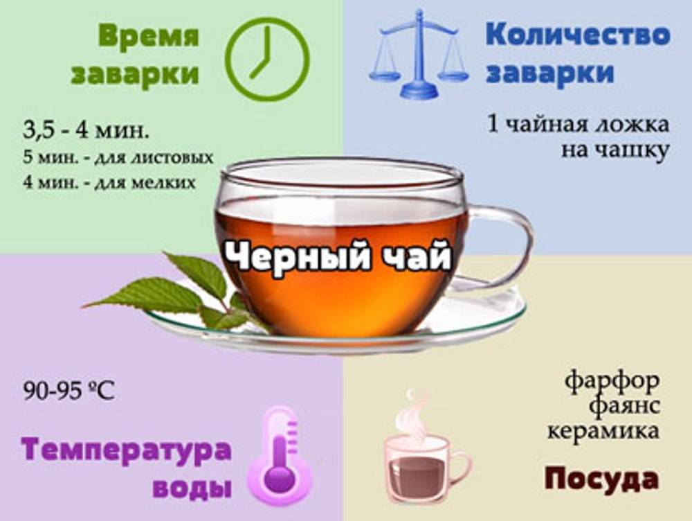Как правильно заваривать зеленый чай? как и сколько раз можно заварить листовой, как пить правильно и какая должна быть температура воды для приготовления напитка, как приготовить китайский и секреты заваривания