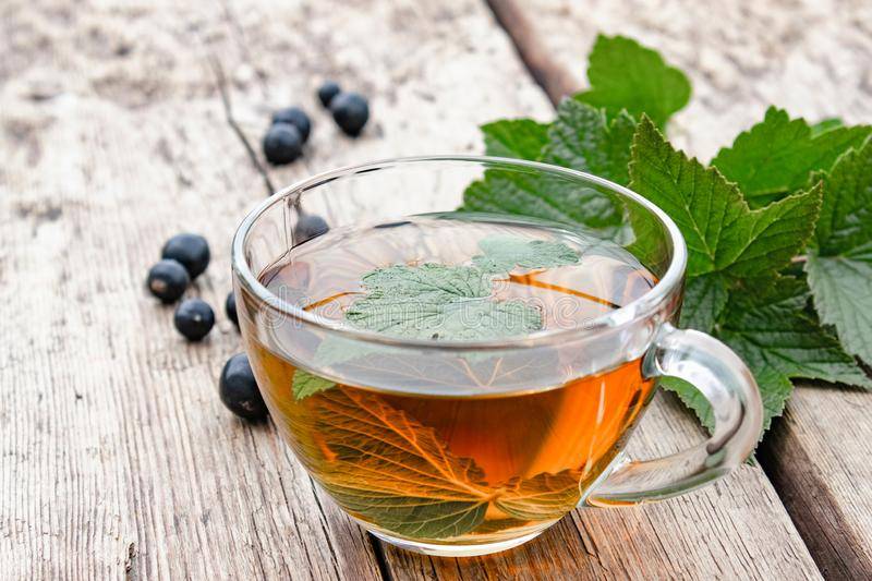 Чай из смородиновых листьев: как заваривать и применять