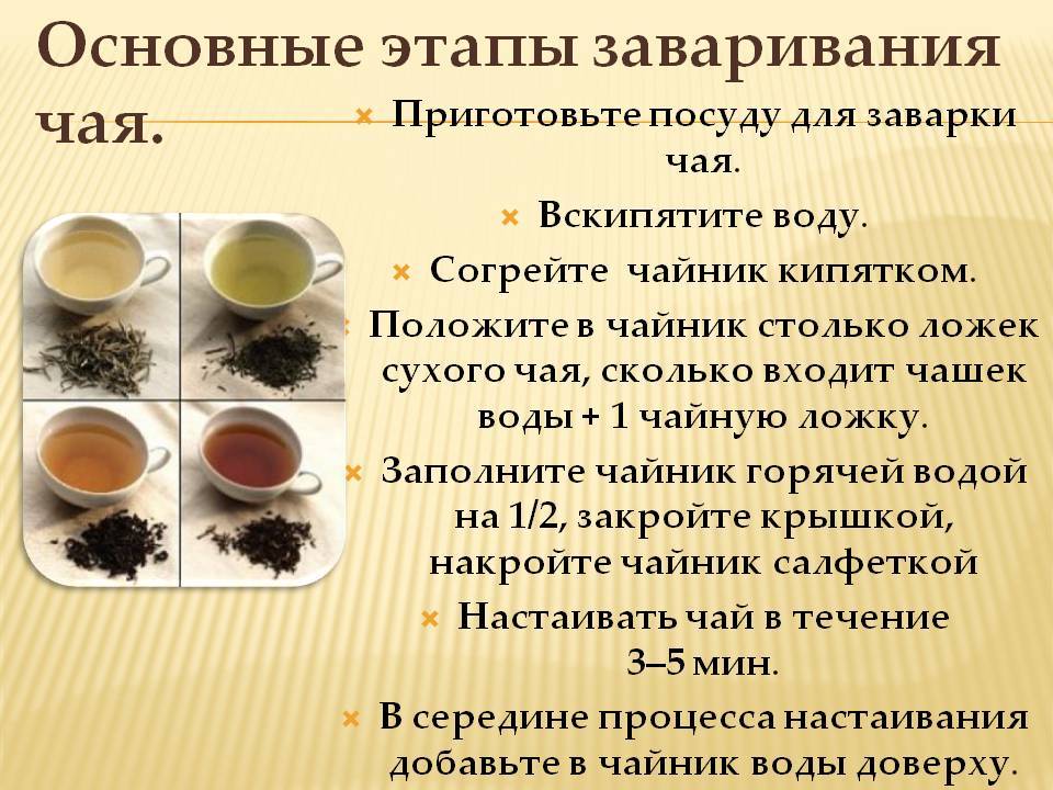 Сорта чая: список, каких видов они бывают, классификация