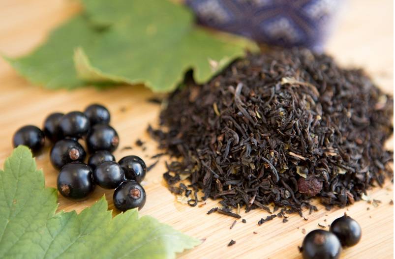 Черничный чай: польза, вред, заготовка сырья, рецепты