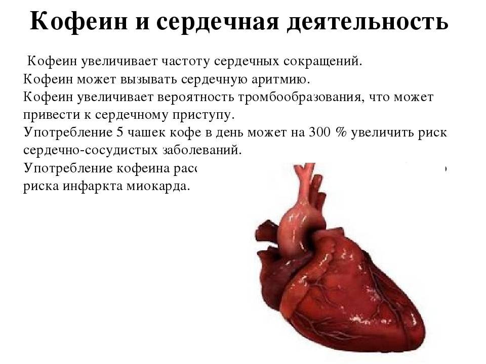 Сердце чаще мотору вторь автор. Влияние кофеина на сердце. Сердечная деятельность. Влияние кофеина на сердечно-сосудистую систему. Кофеин и сердечно сосудистая система.