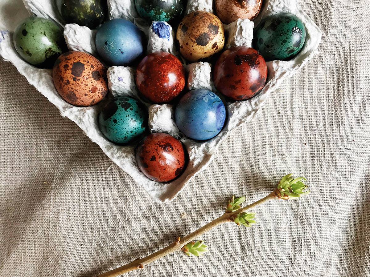 Как покрасить яйца на пасху натуральными красителями (без химии)
