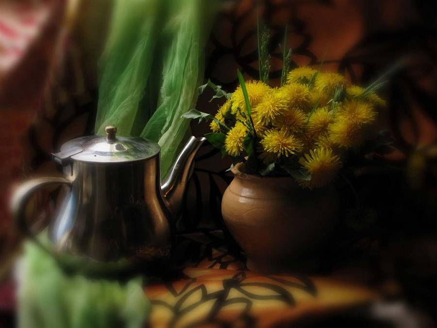 Чай из одуванчиков: польза и вред, как приготовить