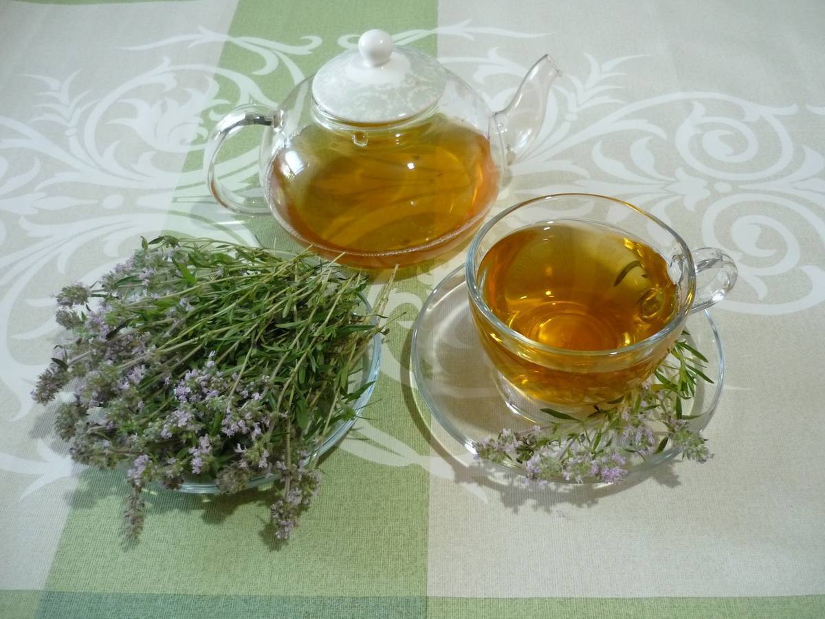 Чай с шалфеем: лечебные свойства и противопоказания