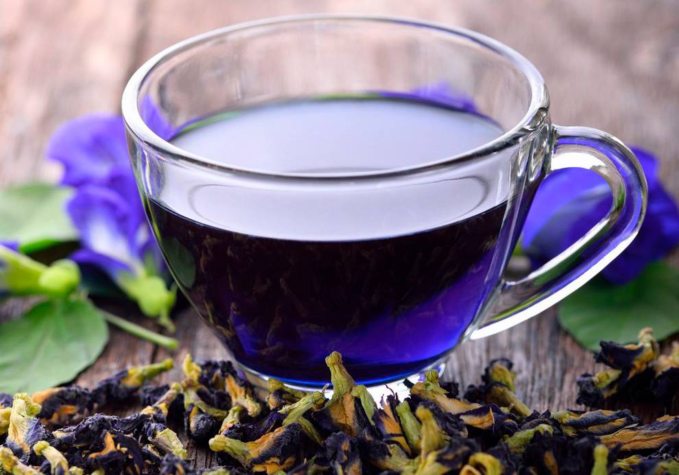 Синий чай из таиланда: полезные свойства и противопоказания, польза и вред