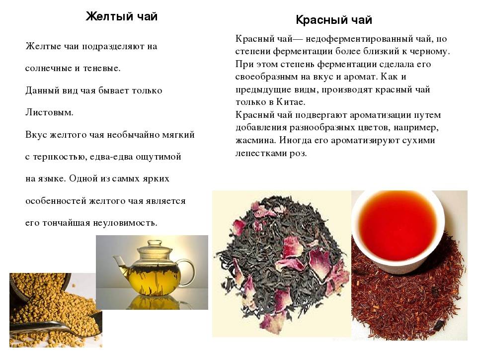 Красный чай: польза и вред для здоровья