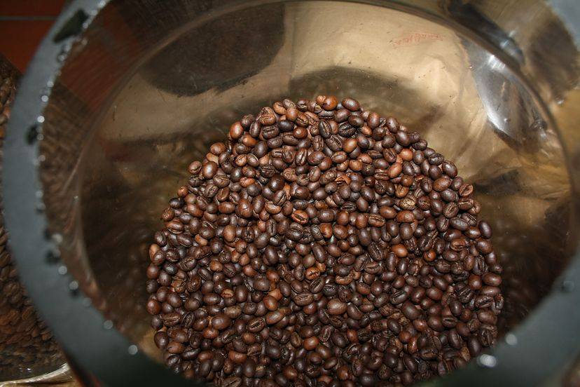 Вьетнамский кофе лювак: чем известен, особенности приготовления
