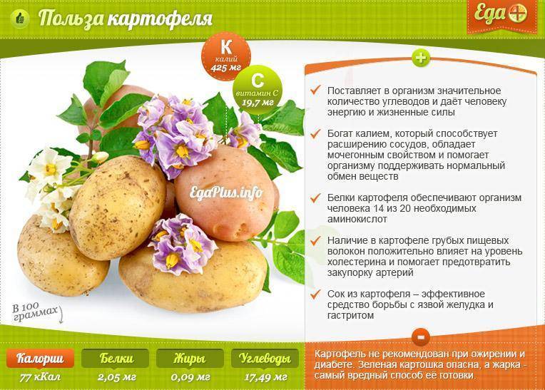 Картофельный отвар – польза и вред простого народного средства - портал о здоровье