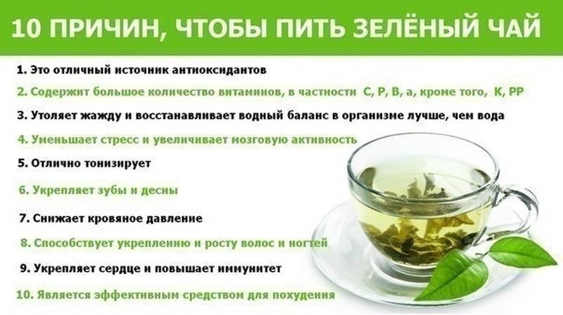 Можно ли пить на ночь зеленый чай?