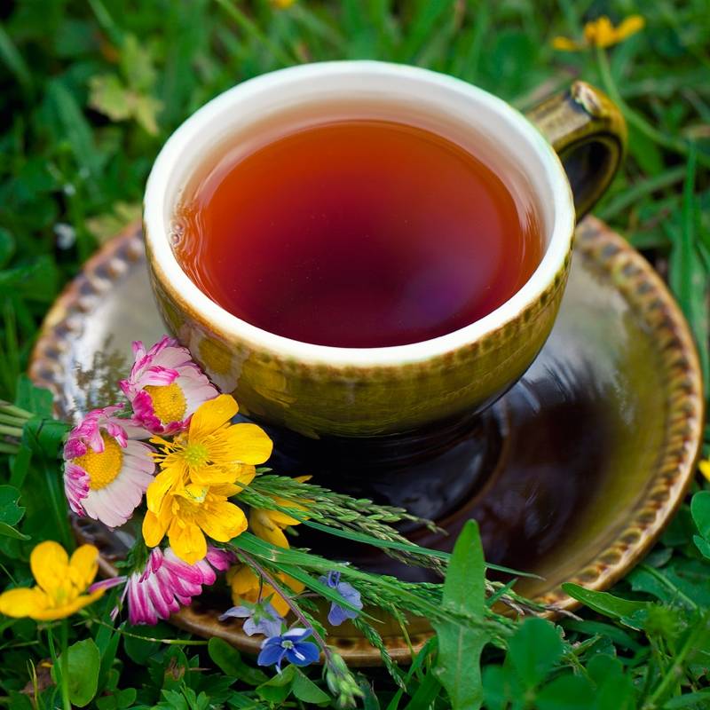 Крепкий чай при поносе: особенности использования и эффективные рецепты приготовления