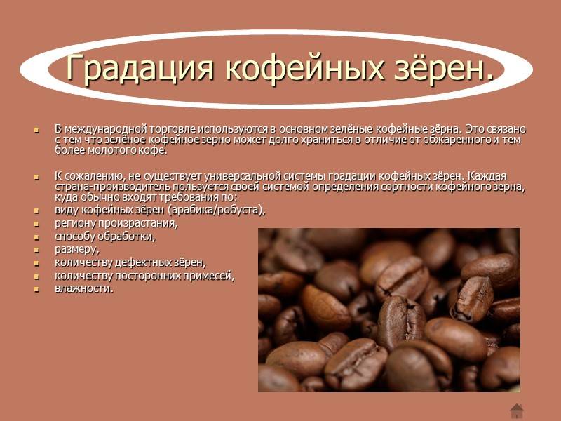 Какой кофе лучше пить: растворимый молотый или в зернах