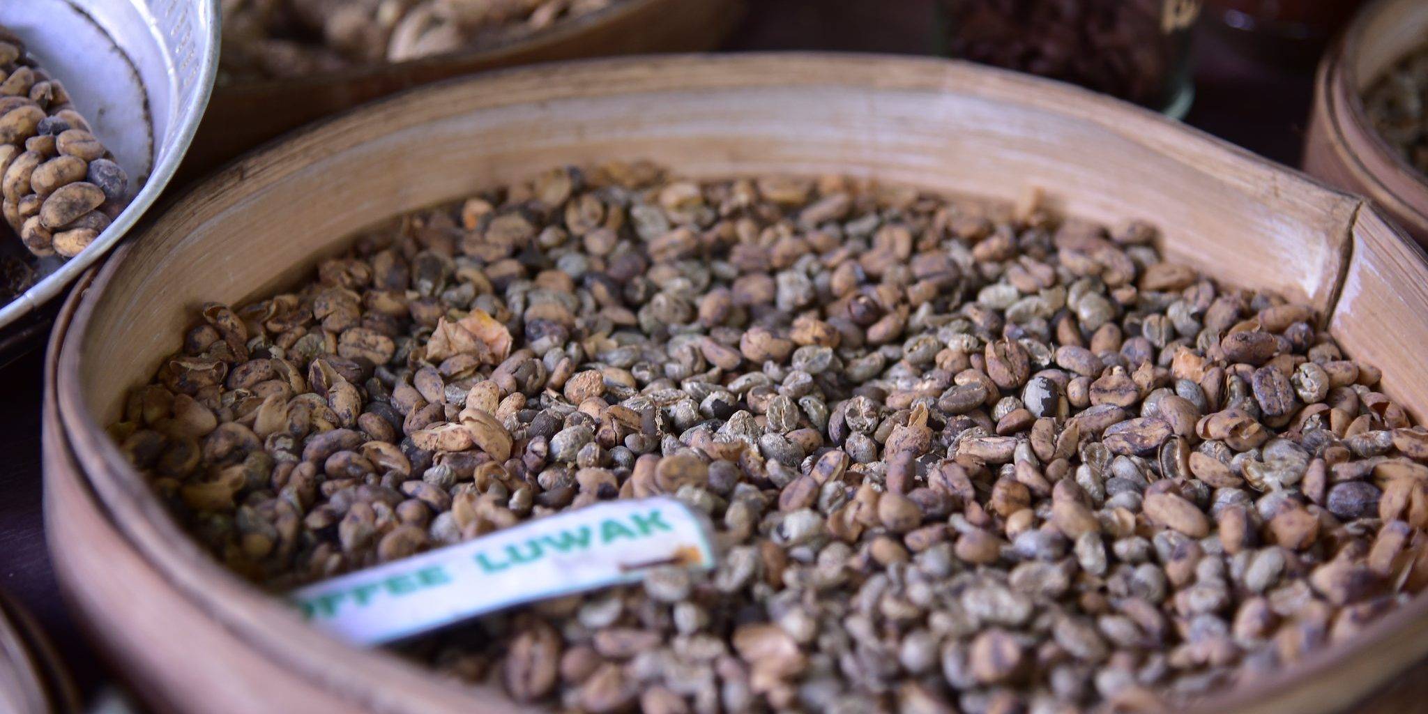 Кофе копи лювак (kopi luwak): производство, вкусовые качества, цены