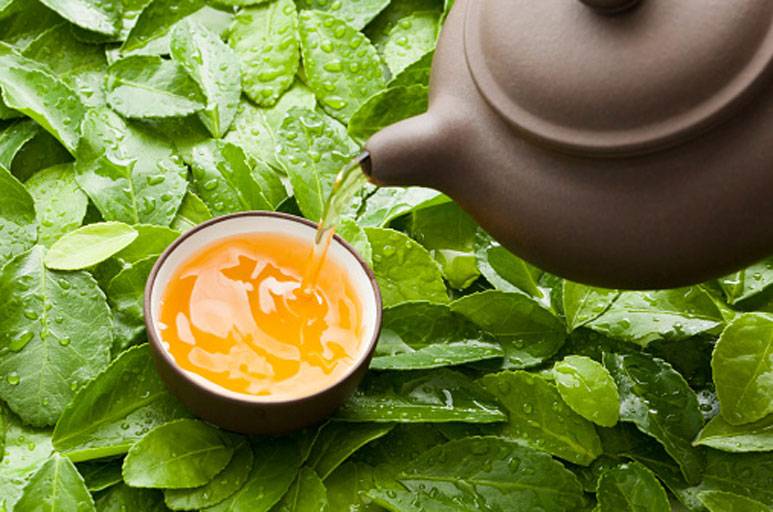 Зеленый чай: польза и вред для женщин, свойства, влияние на организм человека