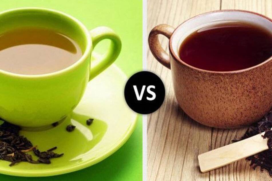 Какой чай полезнее пить: черный или зеленый, сложная дилемма