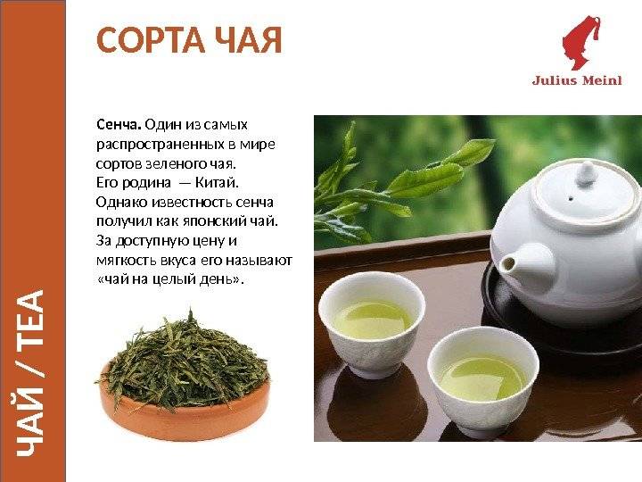 Лечебный чай сенча: показания и правильное заваривание – все о меню