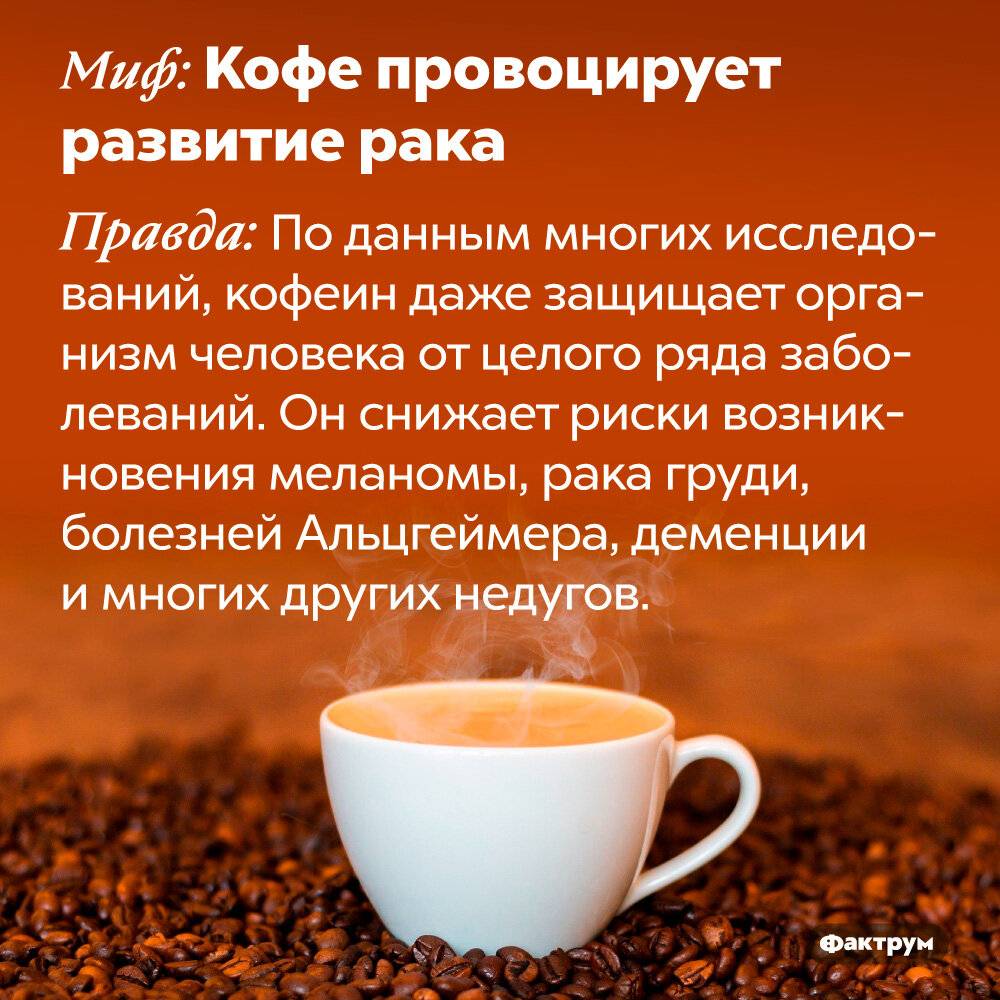 10 фактов о кофе, о которых не знают даже самые отъявленные кофеманы