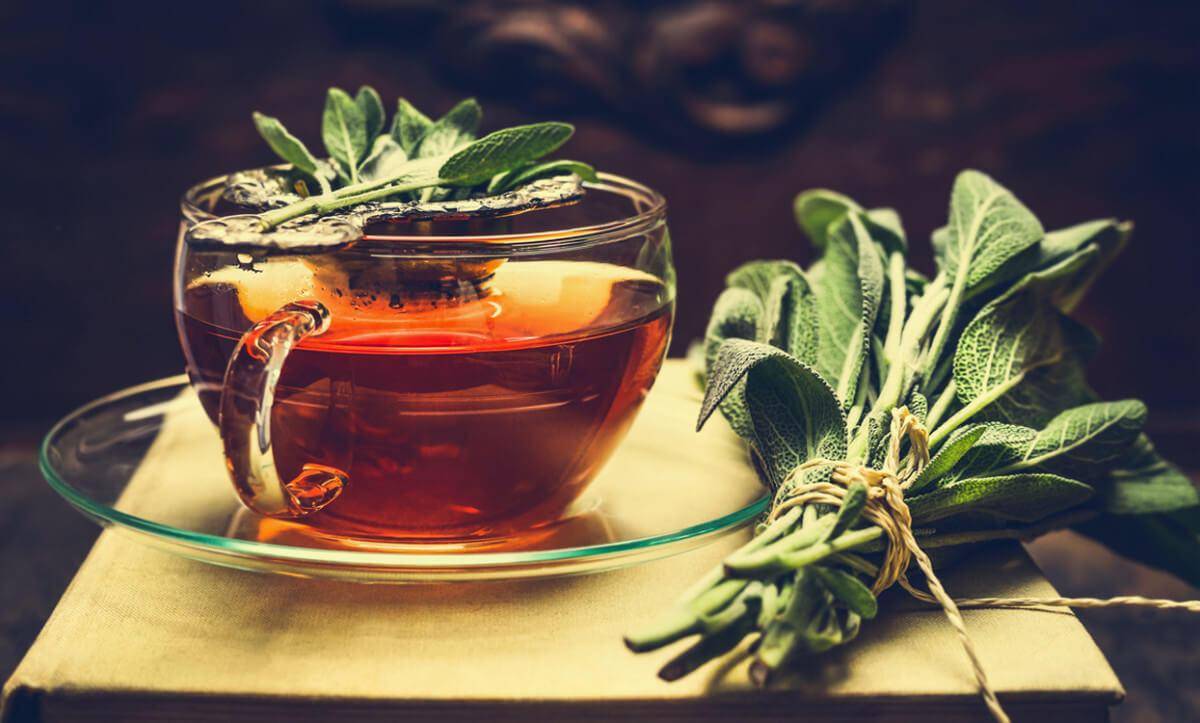 Чай из шалфея: польза и вред, как пить чай в пакетиках, лечебные свойства, противопоказания и инструкция по применению