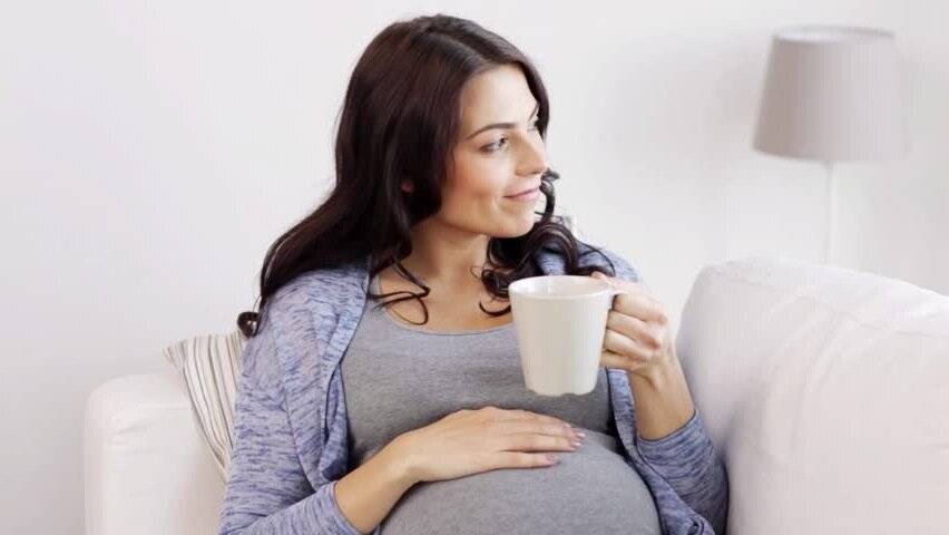 Мелисса при беременности: можно ли беременным пить чай с мелиссой? особенности приема на ранних сроках, в 1, 2 и 3 триместрах