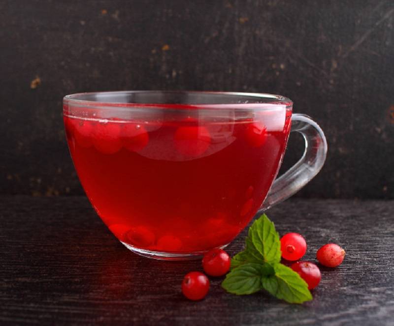 Чай с клюквой:полезные свойства и рецепты