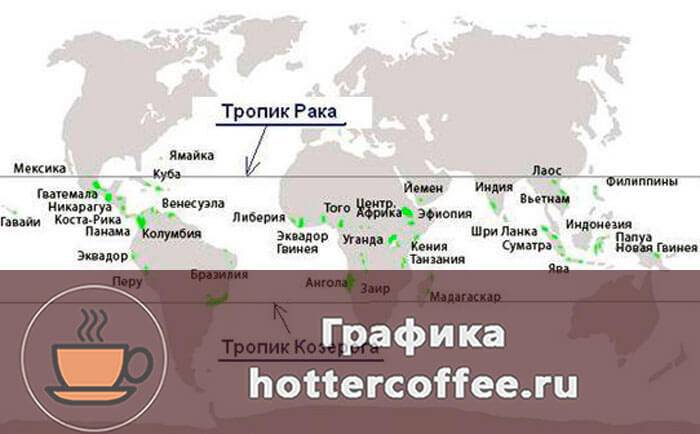 Где выращивают кофе - полный гид по странам - экспортерам
