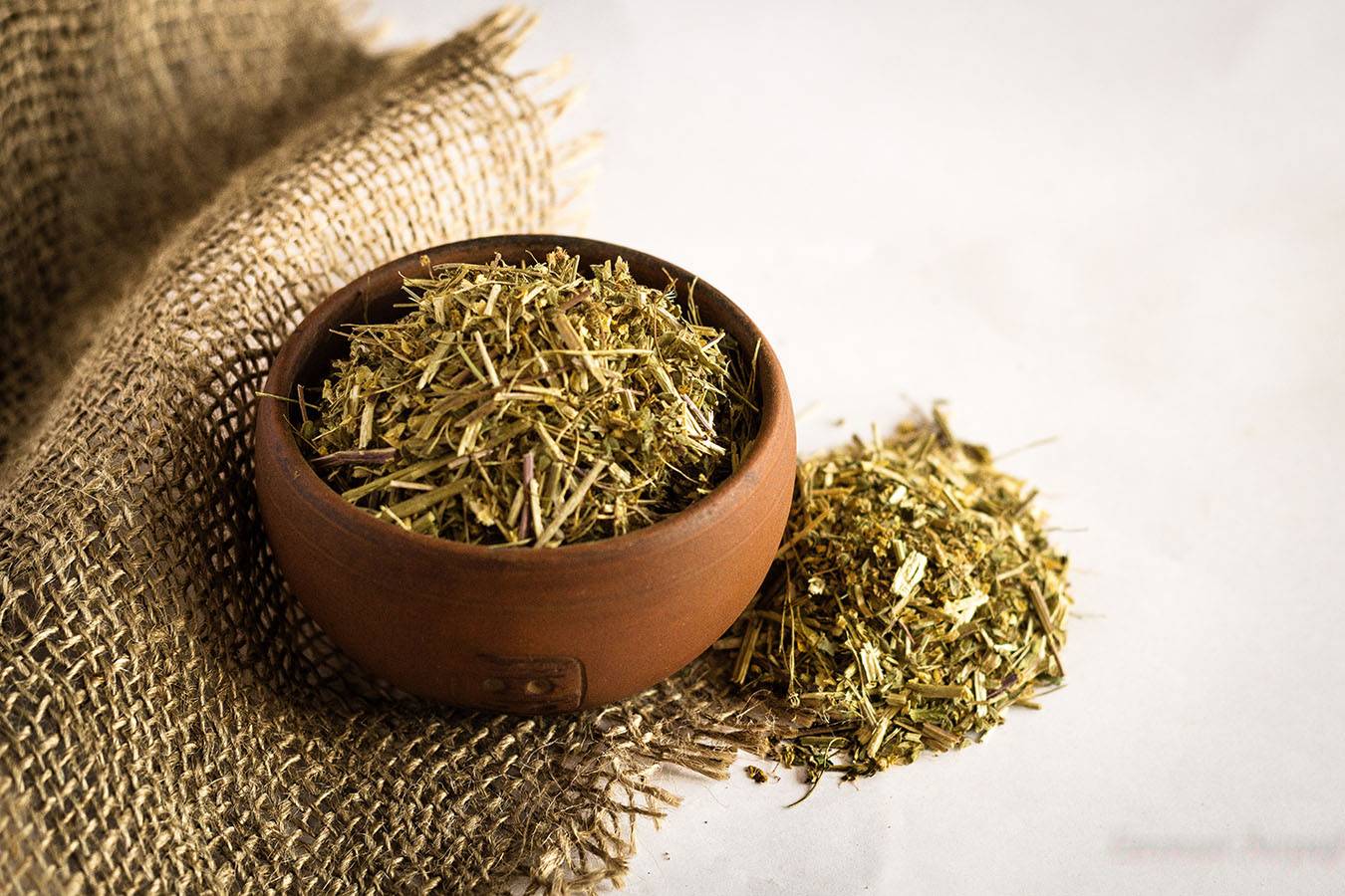 Таволга — лечебные и полезные свойства, применение и противопоказания травы