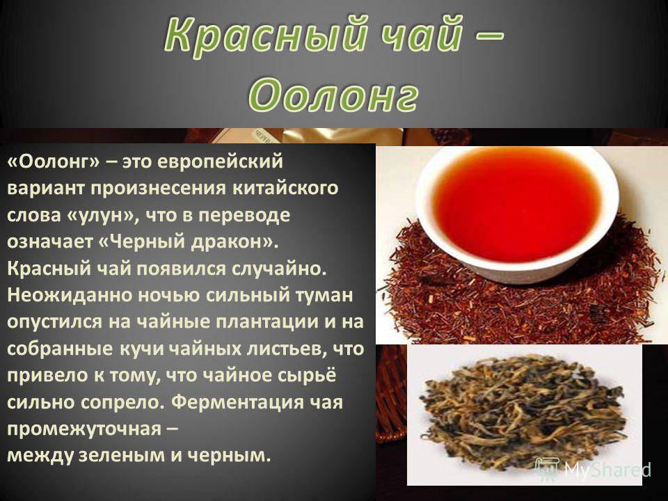 Красный чай: польза и вред для здоровья