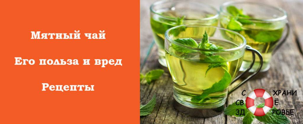 Как правильно и когда лучше пить зеленый чай