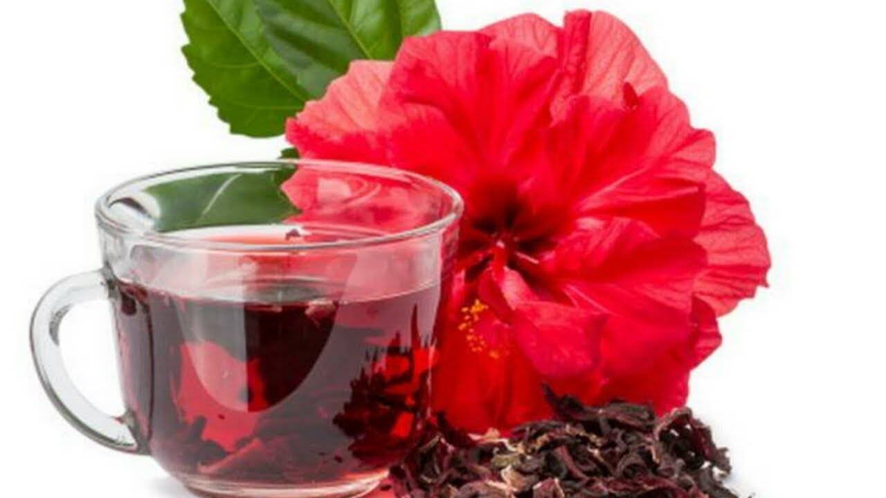 Чай каркаде - полезные свойства и противопоказания, как правильно заваривать и пить