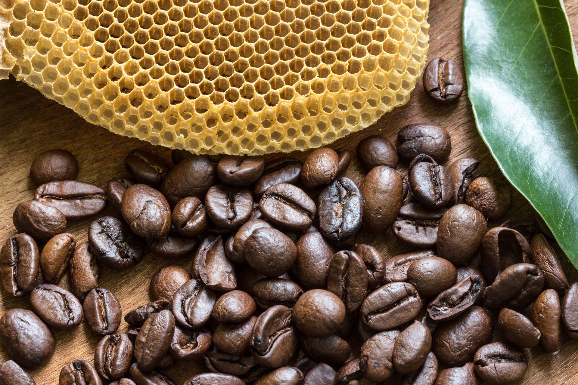 Самые эффективные антицеллюлитные рецепты кофейно-медового обертывания в домашних условиях