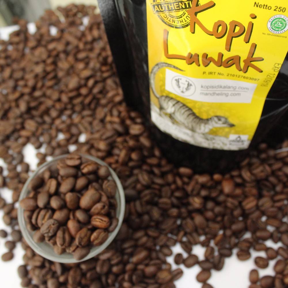 Кофе лювак (kopi luwak) — самый дорогой кофе в мире