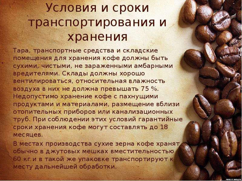 Кофе польза и вред для здоровья мужчин
