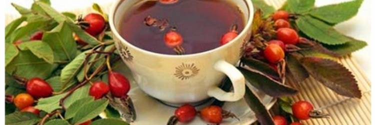 Польза чая с шиповником при гипертонии, повышенном холестерине и жировой дистрофии печени