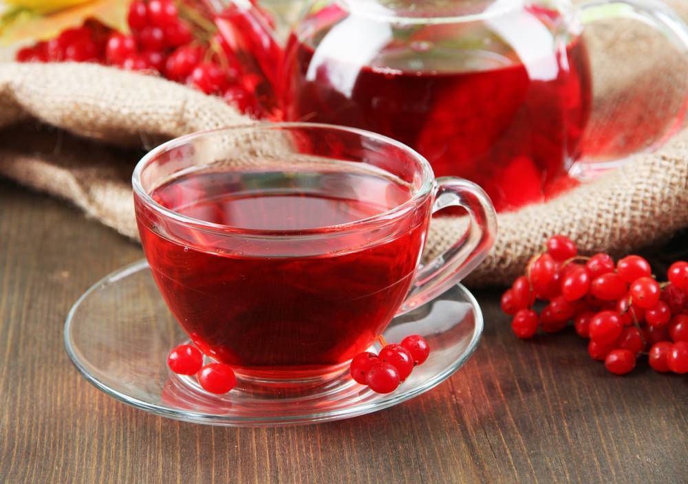 Чай с калиной: рецепты, польза и противопоказания