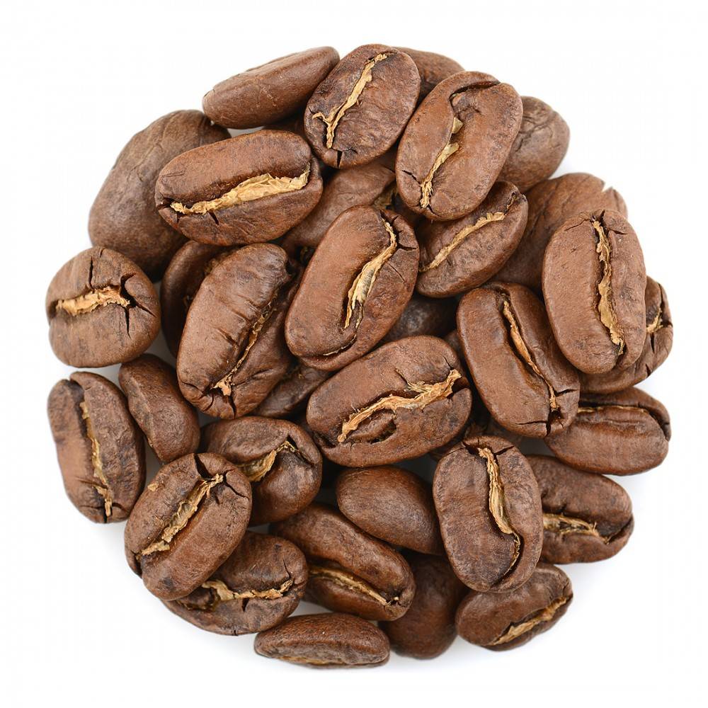 Кофе марагоджип: описание и особенности сорта арабики