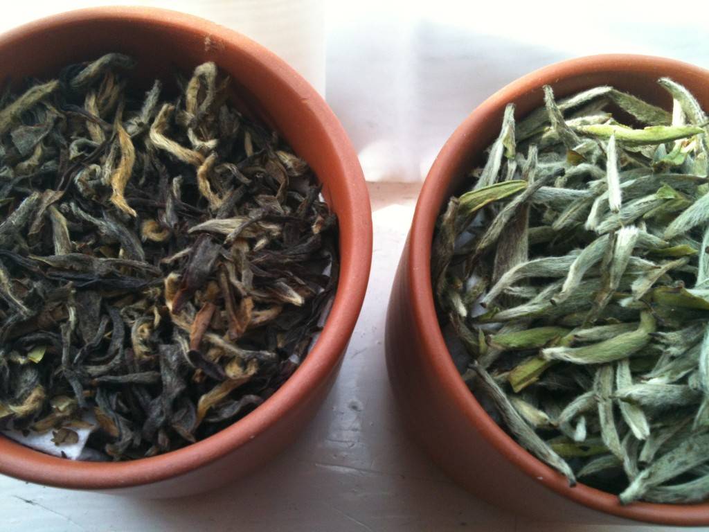 Чай масала польза и вред, свойства для организма, секреты состава
