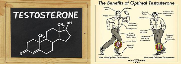 Кофе и тестостерон у мужчин – влияние кофеина на уровень гормона
