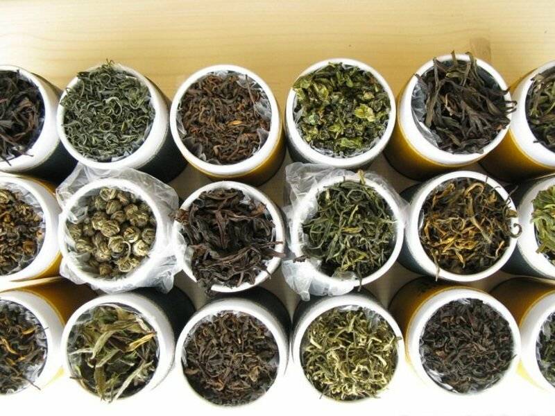 Китайский чай: виды, элитные сорта, как заваривать и пить