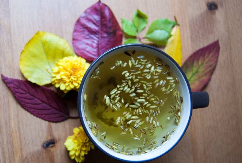 Укропный чай: полезные свойства и рецепты приготовления
