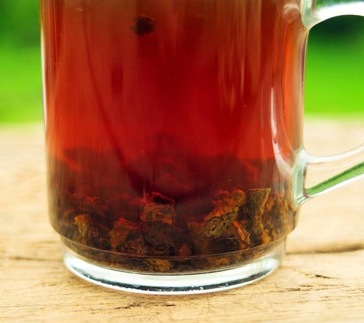 Чай из вишневых листьев (польза и правила ферментации)