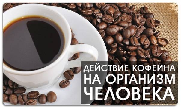 Можно ли умереть от передозировки кофеина