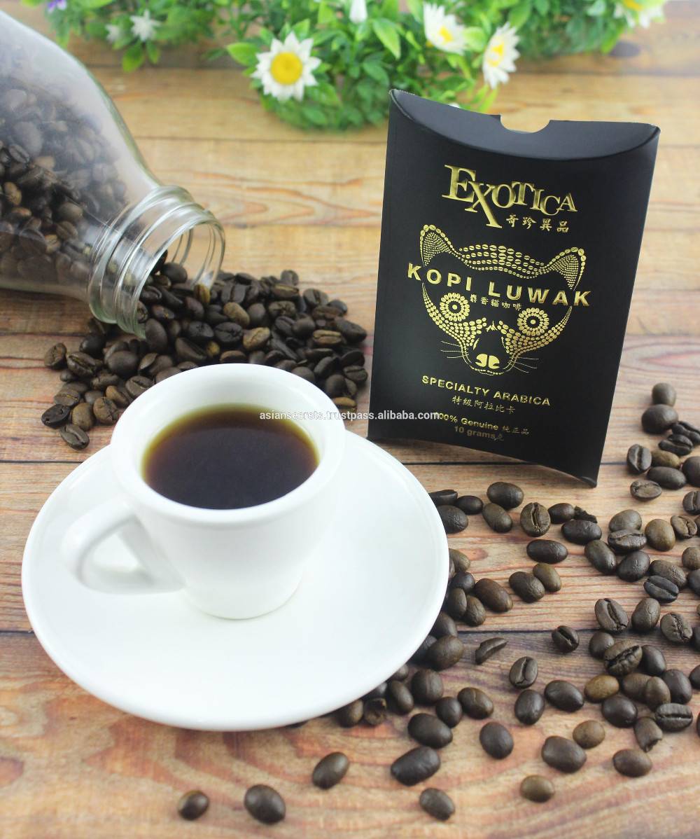 Лювак – описание самого дорогого элитного кофе в мире
