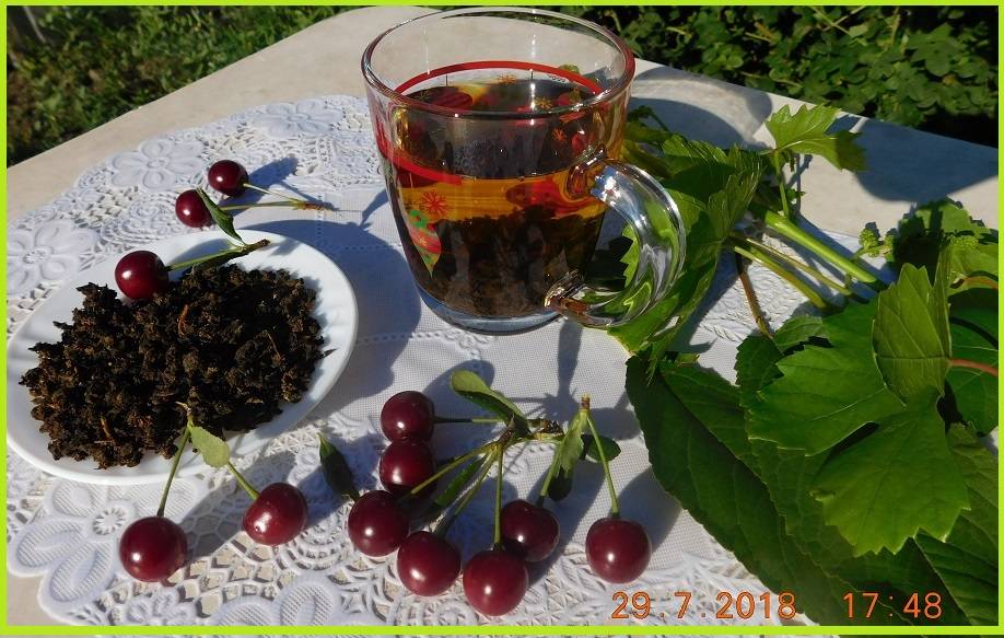 Чай с вишней – его польза и рецепты, заготовка ягод на зиму