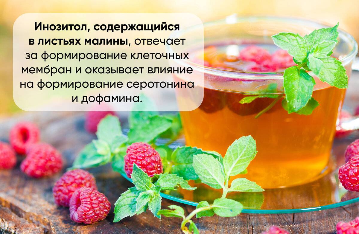 Рецепты с малиной при лечении простуды: варенье и жаропонижающий чай
