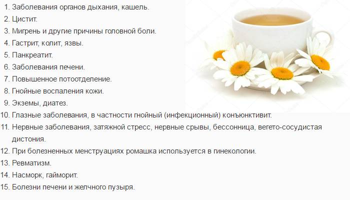 Ромашковый чай: польза и вред целебного напитка