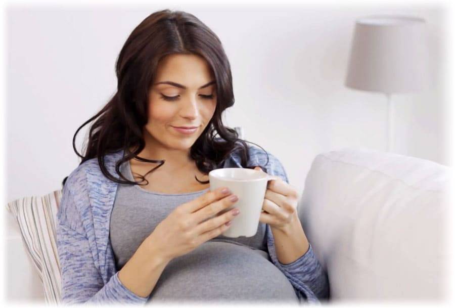 Можно ли чабрец (тимьян) при беременности и как его употреблять с максимальной пользой + фото, видео и отзывы
