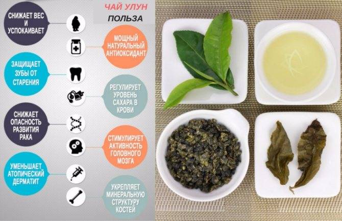 Чай улун: польза и вред. как правильно заваривать улун для похудения?
