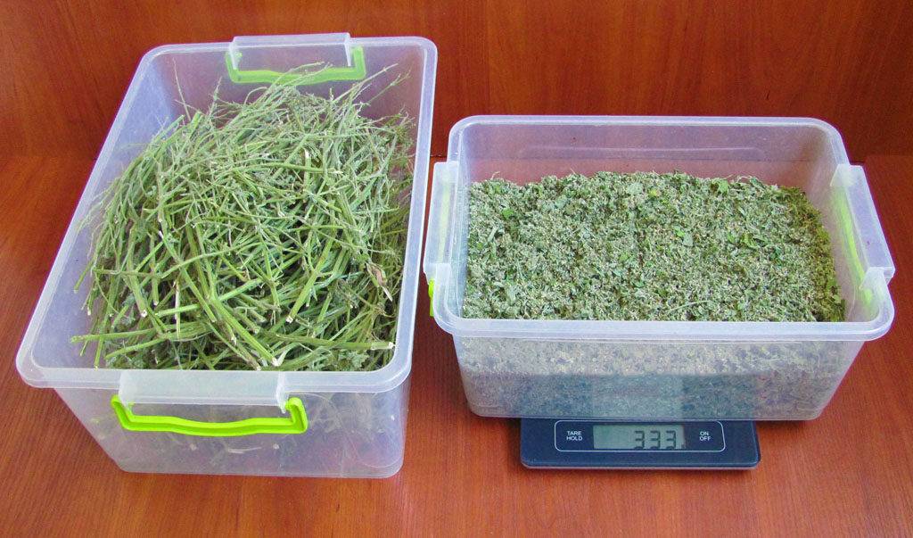 4 способа, как правильно сушить мяту. процесс подготовки травы и рекомендации по использованию