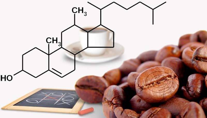 Кофе и холестерин в крови: можно ли пить при повышенном, влияние, повышает